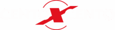 Cento X Cento Servizi
